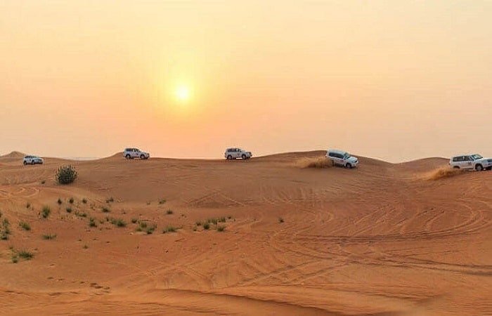 Morning Desert Safari